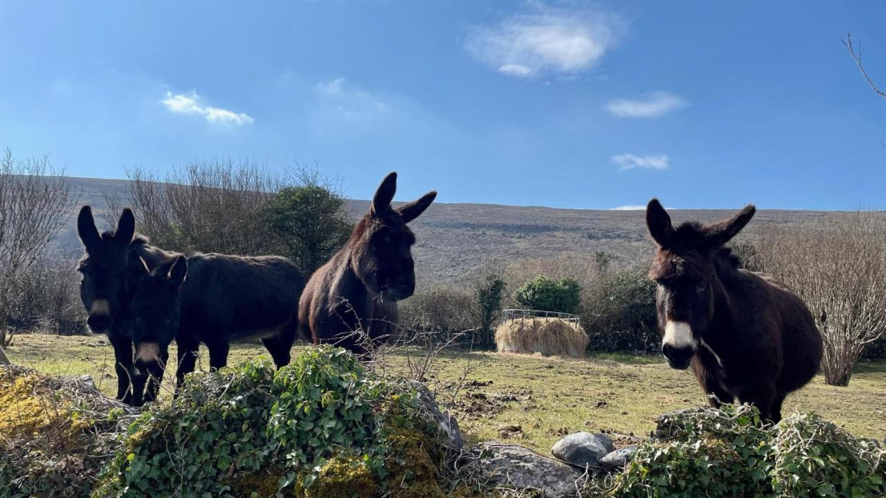 Cappabhaile House Ballyvaughan Luaran gambar