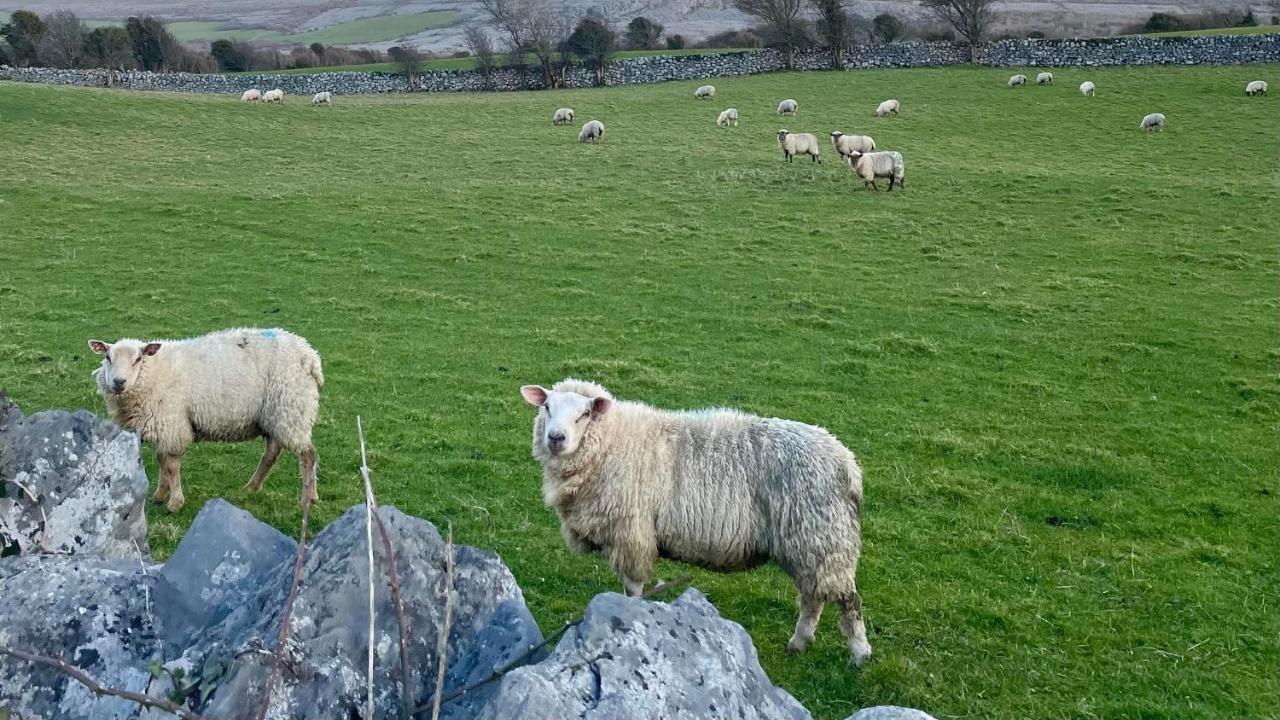 Cappabhaile House Ballyvaughan Luaran gambar