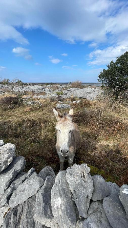 Cappabhaile House Ballyvaughan Luaran gambar