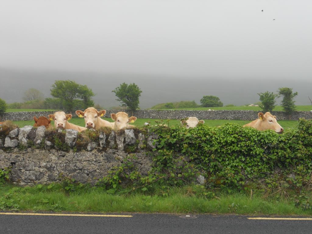 Cappabhaile House Ballyvaughan Bilik gambar